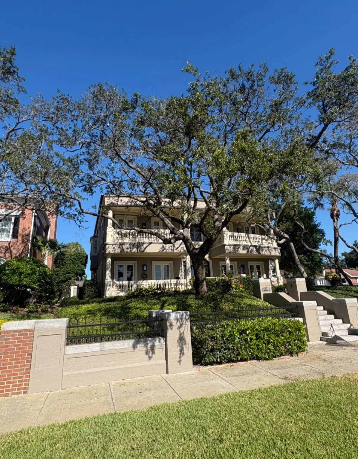 Mature oak trees framing a Bayshore Boulevard estate in Historic Hyde Park, Tampa